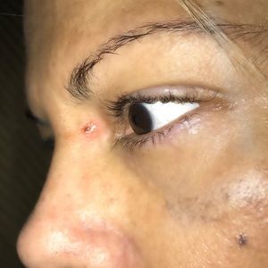 Meet your Posher, Elsa